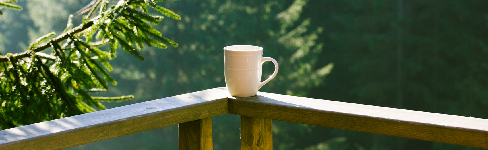 single coffee mug on railing outdoors with pine trees branches in background